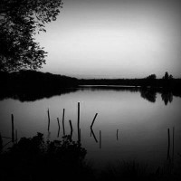 /album/elupe/photolia-b01-jpg/